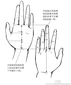 樱花鹿儿采集到手