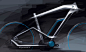  2014 BMW Cruise e-Bike 电动自行车