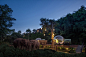 jungle bubbles at luxury resort in thailand let guests sleep alongside elephants