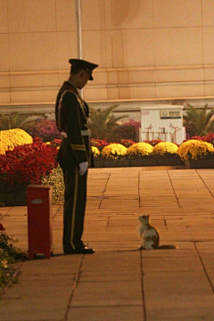 小猴饼饼采集到治愈系