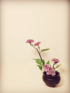 茶汤夫人采集到花艺