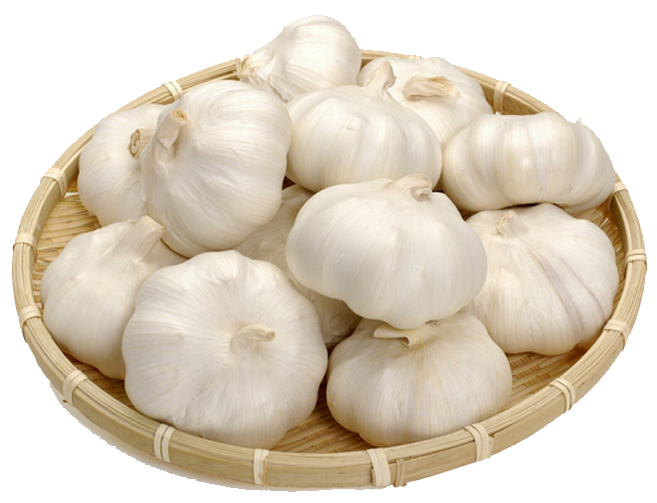 742238a59d46f1ea401d40ca36b74a70a1bc4b4465894-RyA00x