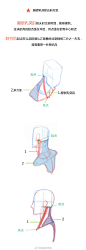 条漫第三弹：人体躯干肌肉到底怎么画？（比例+穿插关系）#春哥的绘画课室# 绘画参考