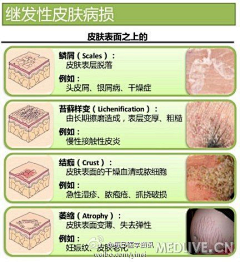 小风儿2014采集到有用的东西