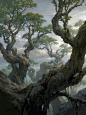 Magic the Gathering： Basic Lands, Tianhua Xu