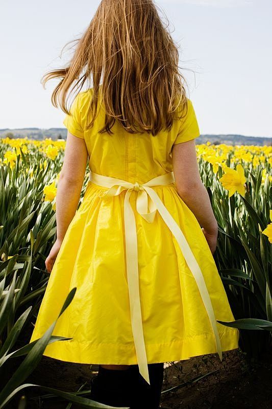 A field of daffies: 