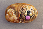 painted rocks | Hand painted rock. Golden Retriever | Flickr - Photo Sharing!