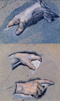 Studies of men's hands - Maurice Quentin de La Tour