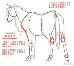 洪臣设计采集到教程