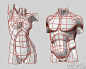 Anatomy For Sculptors