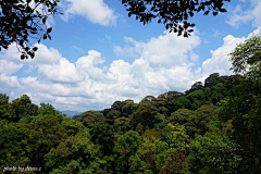 茶山居士采集到泰国印象