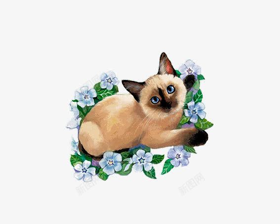 746cfa12b5b9c944038c1130bbf3296960ce28674e7f-my6BRO