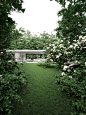 3D // Lost in the garden : Personal work. 3D Architectural visualization. The House was invented by me with the inspiration by both the Farnsworth House by Mies van der Rohe and the Glass House by Philip Johnson.Software: 3ds Max, Vray, Photoshop2014