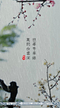 雨水 | 天一生水，東風解凍，散落為雨，潤物無聲。畦冰成水，幽岫生雲，深溪蓄翠，草木萌動。此時節，春山入簾，白鰷出水，黃鸝拂羽，野徑成泊。農家備桑耕，松山聽溪聲。開窗可蒔花草，臨篬坐看灌甽。猶記小樓一夜聽雨，伊人茶山擎傘獨行。待雨霽，初晴，但尋芳草綠，莫問白雲深。