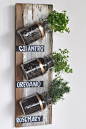 Spend a Saturday afternoon crafting your own herb wall with an old wooden board, mason jars and brass ring hangers.