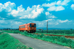 宝Da采集到素材