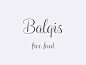 balqis font #英文# #字体# #字体设计# #字体下载#