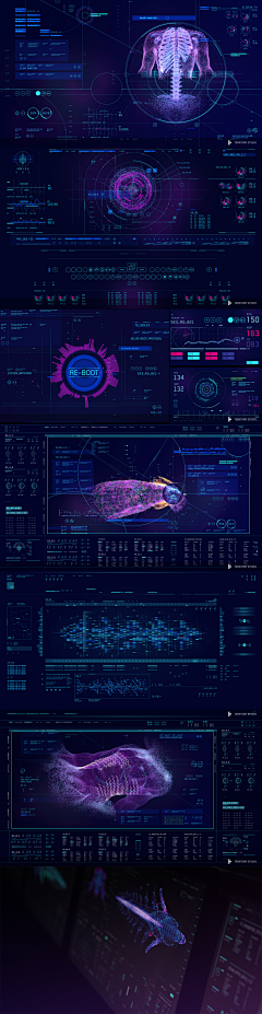 feifeipq采集到Infographic