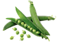 Pea PNG