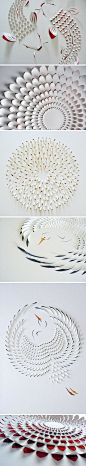 澳大利亚艺术家Lisa Rodden精美的手工剪纸艺术