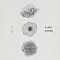《Love poem》专辑 - IU