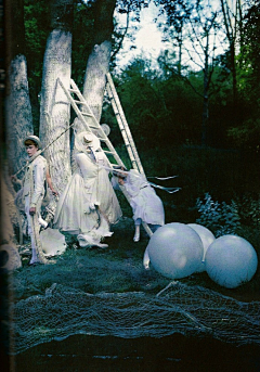 Bunny疯兔子采集到Tim Walker（摄影分享）