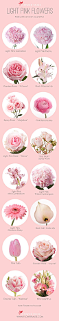 Our Favorite: Light Pink Flowers on Flower Muse blog: 