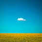 Nature Photography "The Happy One" Lone Cloud, One Cloud, Blue Sky, Yellow Sunflower Field, Summer Home Wall Decor, Fine Art Photo Print