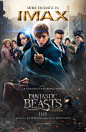 Mega Sized Movie Poster Image for Fantastic Beasts and Where to Find Them (#16 of 16)