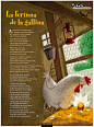 La fortuna de la gallina_ Cavall Fort | Març 2015 :  La fortuna de la Gallina . La primera vegada que il·lustro un text meu. Molt content!!!          