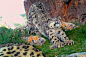 Wild Snow Leopards Snuggle On-Camera | Video