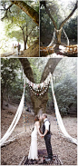 Wedding Canopy & Arches