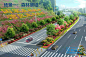 WB104道路景观市政大道绿化街区沿线改造品质提升方案规划文本-淘宝网