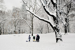 小0是小零呀采集到雪o(╯□╰)o美景