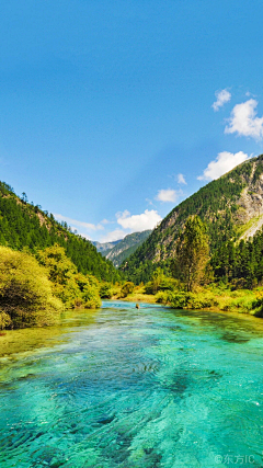 啊是花呀采集到风景