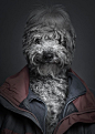 Underdogs by Sebastian Magnani