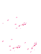 花瓣 素材 PNG素材 玫瑰花瓣 樱花 桃花 飘落 飘洒 散落 情人节浪漫素材 前景素材 #花瓣# #点缀元素# #前景# #素材# #PNG素材# #点技能# #dianjineng.la#