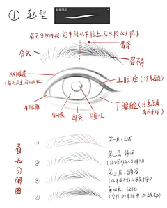 未来某一天采集到漫画