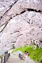 Kyoto, Japan