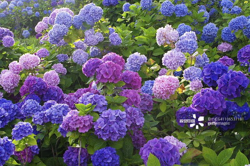 758b22220c0b3d11f70fa27f2dcdde0a4faeba164b703-k4dVXk