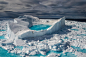 last-ice-climate-change-ocean-sea-animals-3.adapt.1900.1.jpg (1900×1264)