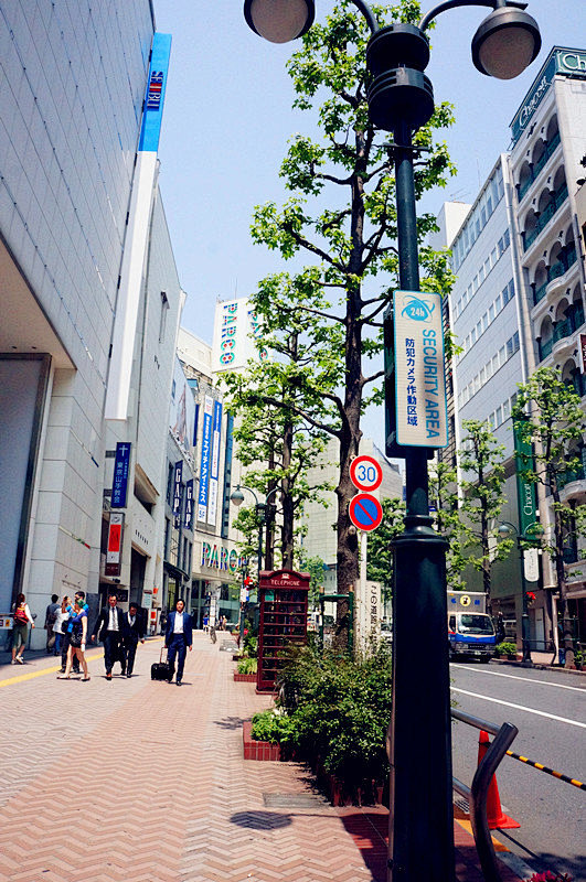 东京年轻购物朝圣地：涩谷、秋叶原、六本木...