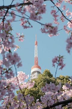 阿银爱设计采集到Photo.trip