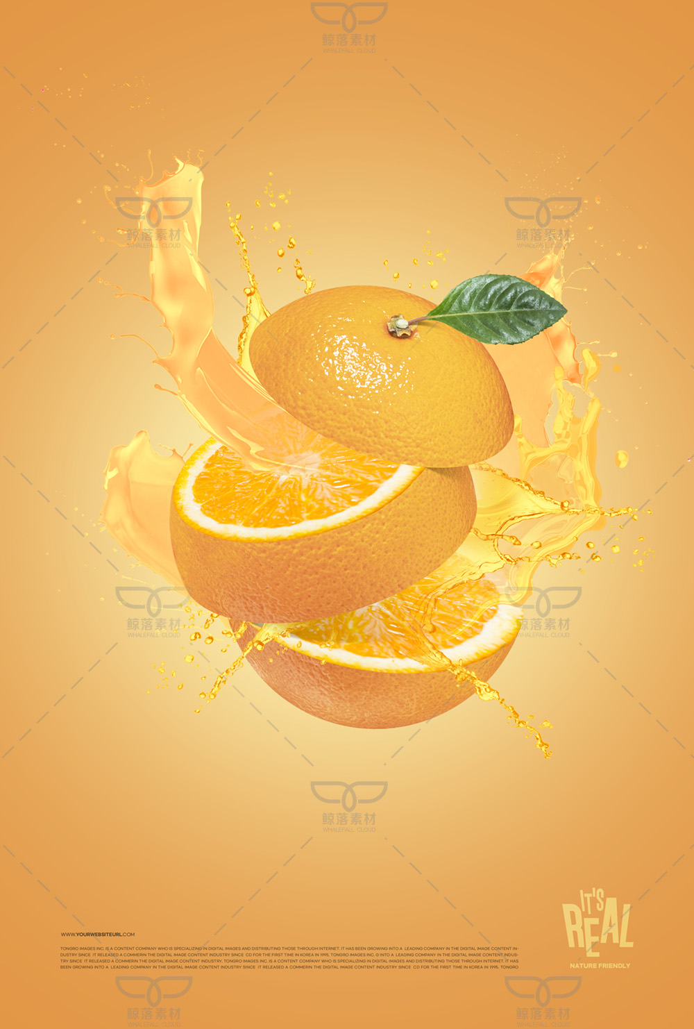 75afd5e57c8f0baea0c47139d9937f4dc7476c2943fd0-42JWQO