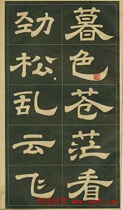 KENT4采集到字体设计