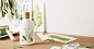 Olive Leaf | Fresh Fragrance Collection : Thymes Olive Leaf collection is wholesome & nourishing. Olive Leaf is a fragrance that is popular with both men & women. Try the Olive Leaf Body Wash.