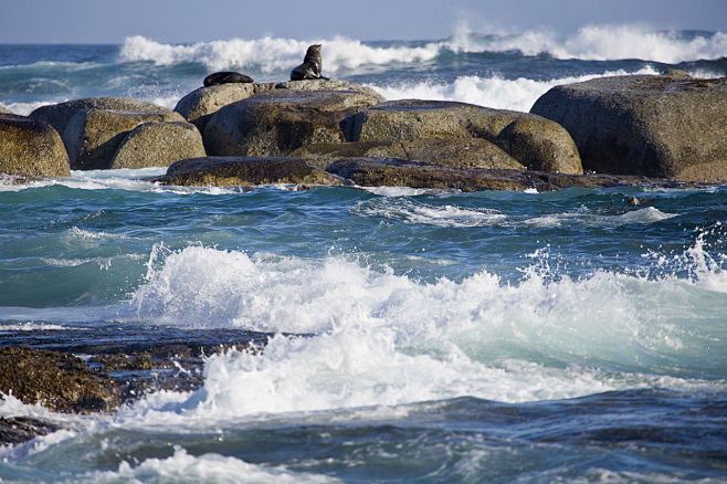 豪特湾Hout Bay 海豹岛 by X...