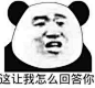 熊猫头怼人表情3表情包_熊猫头怼人表情3表情包下载_熊猫头怼人表情3动态gif表情图-4399聊天表情包大全