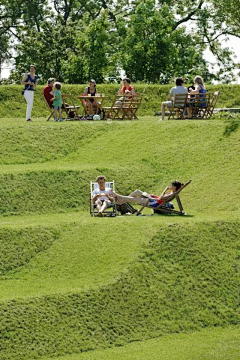 萧海1554采集到景观、植物-草坪