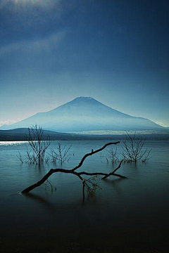 重重复重重采集到Photograph